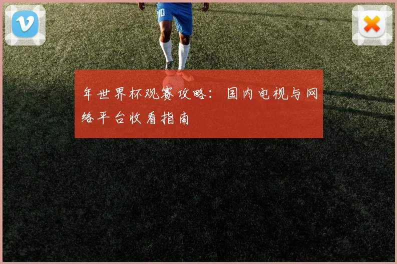 年世界杯观赛攻略：国内电视与网络平台收看指南