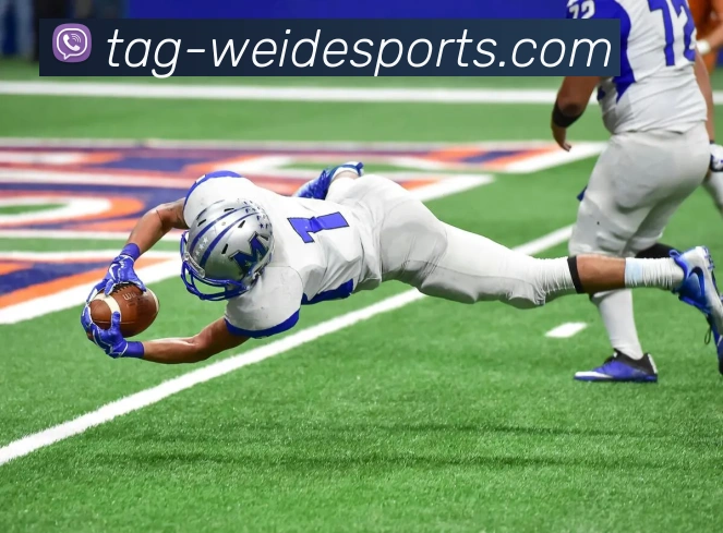 伟德体育平台生态图