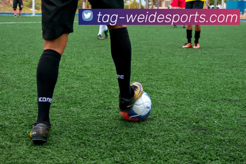 伟德体育APP 封面图